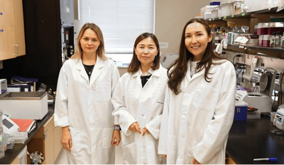 Биотехнология кафедрасының жас ғалымдары халықаралық ғылыми зерттеулерге үлес қосуда